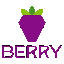 لوگو Berry Data