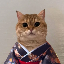 لوگو Cat Own Kimono