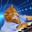 لوگو Keyboard Cat