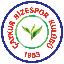 لوگو Rizespor Token