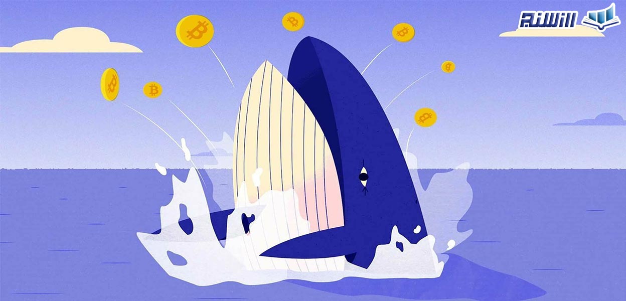 ردیاب های نهنگ کریپتو چیست و چگونه کار می کنند؟