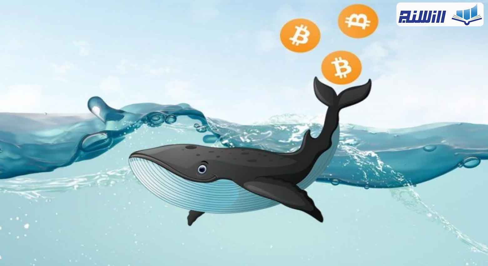 تاثیرات نهنگ ها بر بازار ارزهای دیجیتال