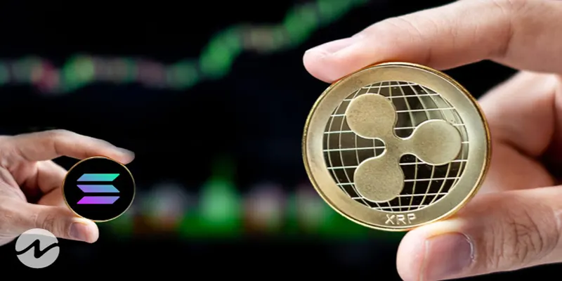 خروج شش هفته ای کریپتو XRP و سولانا روند نزولی خروجی را نادیده می گیرند