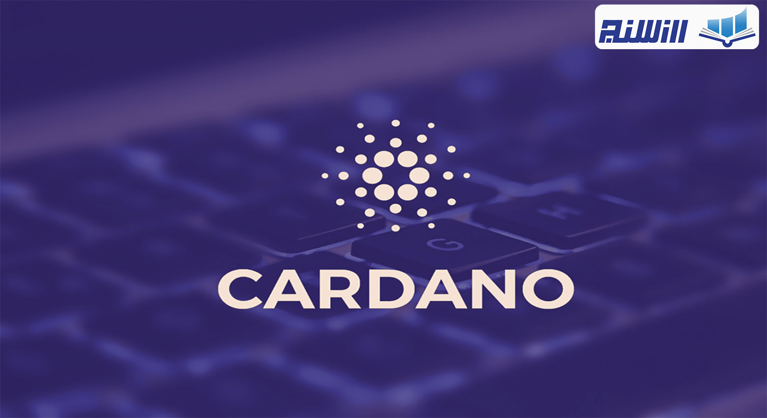 شبکه کاردانو چیست؟ (ویدیوی بررسی صفر تا صد شبکه Cardano)