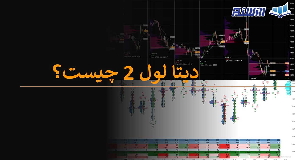 دیتا لول 2 چیست و چه کاربردی دارد؟