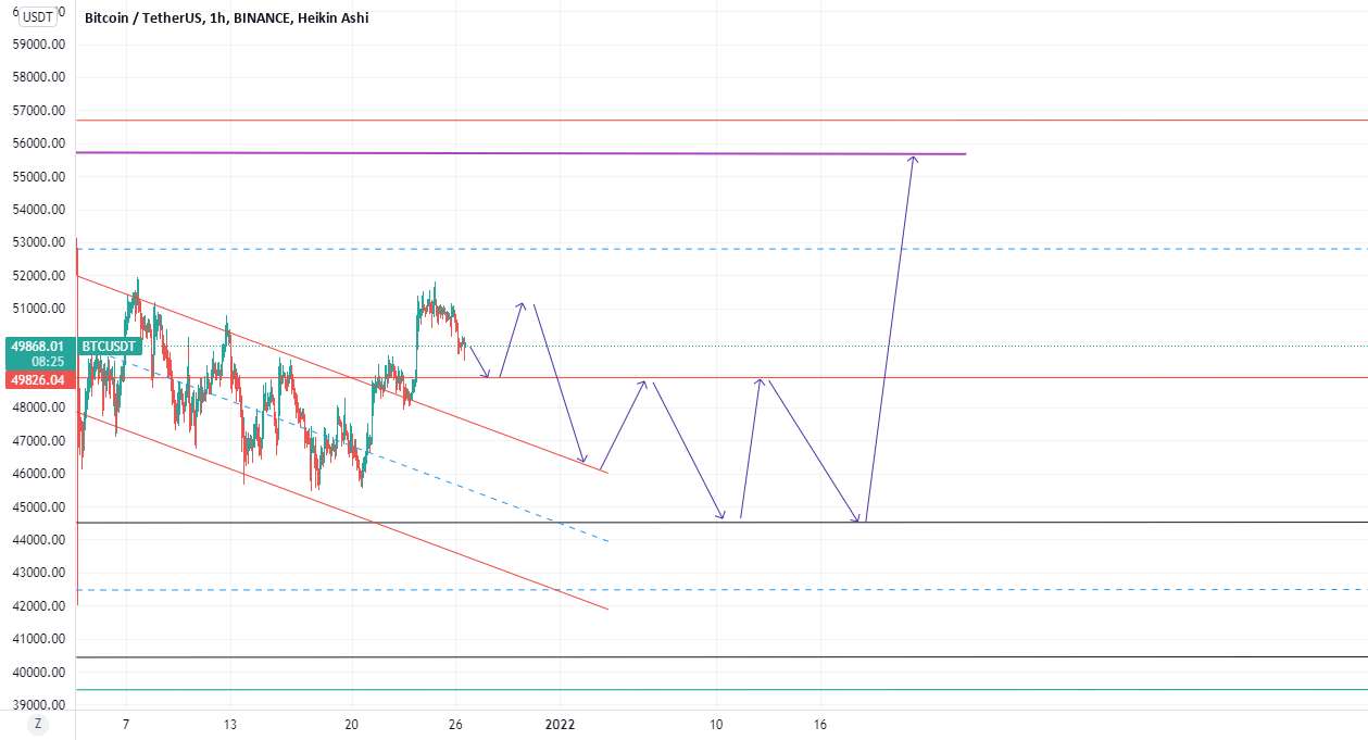 hort btc