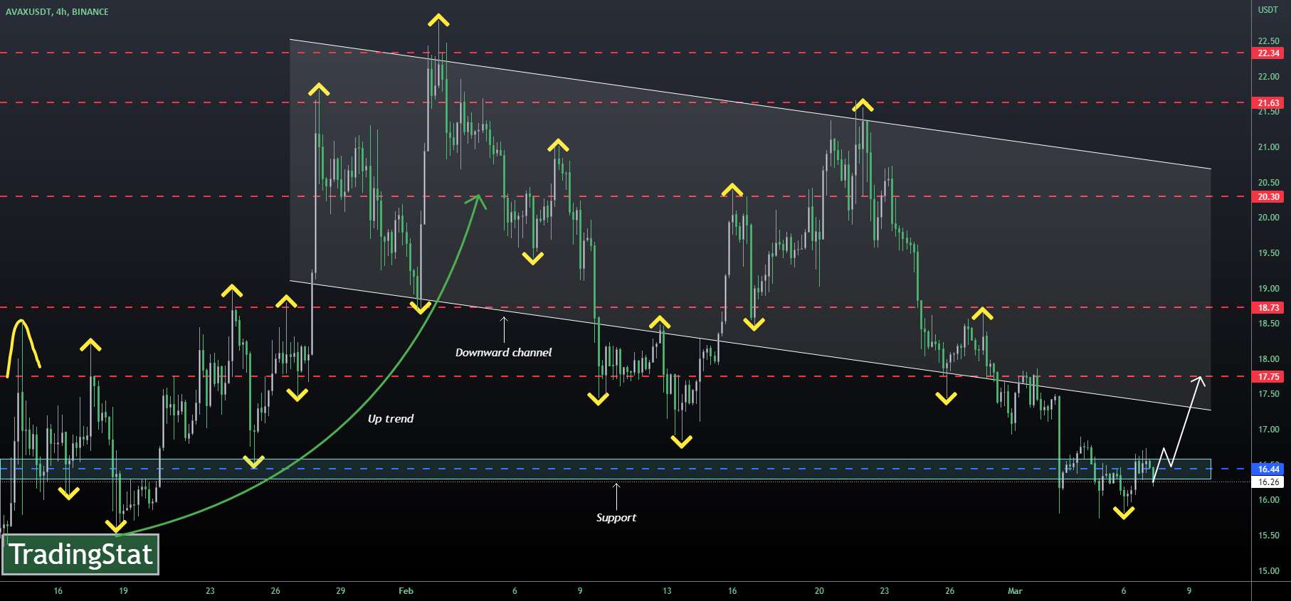 ✅TS ❕ AVAXUSD: قبل از برگشت ✅