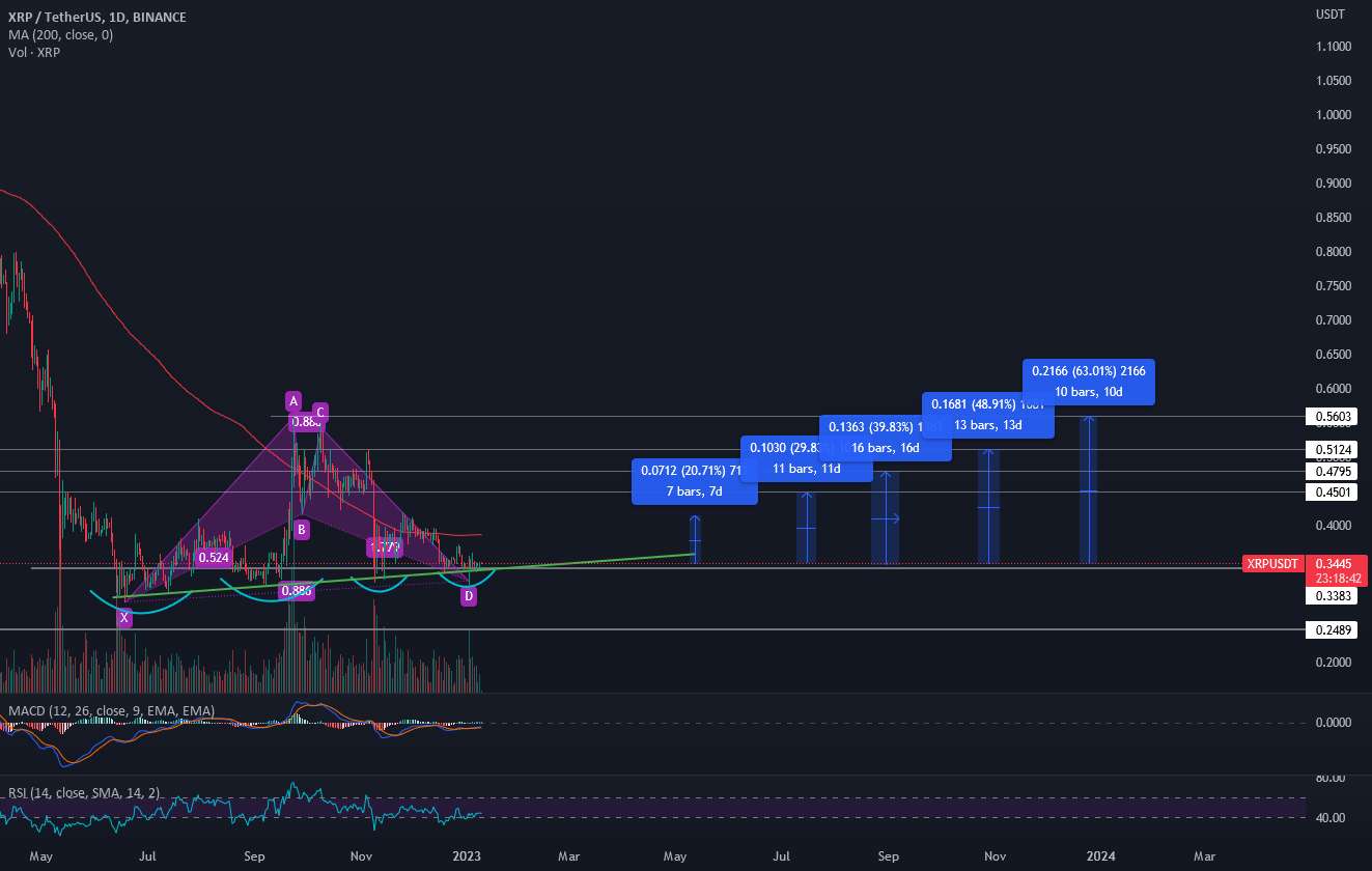 خفاش صعودی XRP