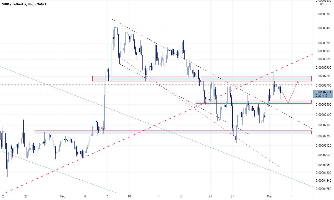 پیش بینی shib USD