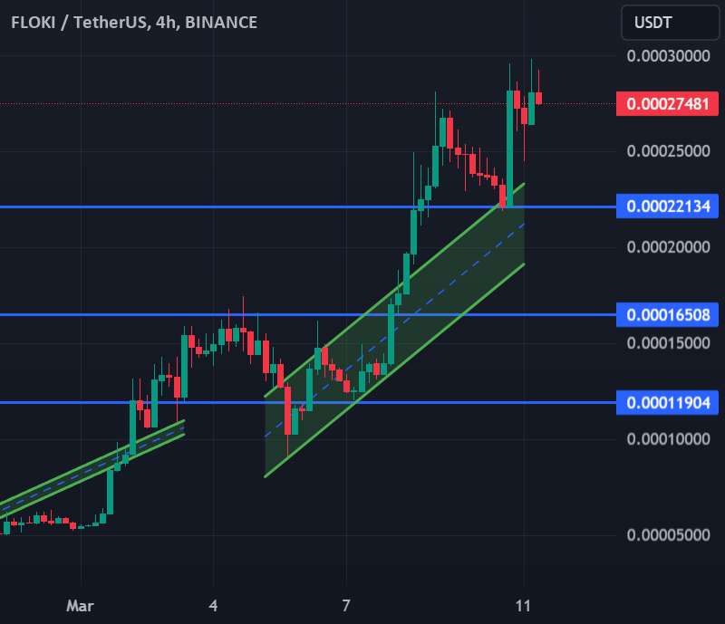  تحلیل FLOKI - فنی ها شروع به صف آرایی صعودی برای FLOKI کرده اند