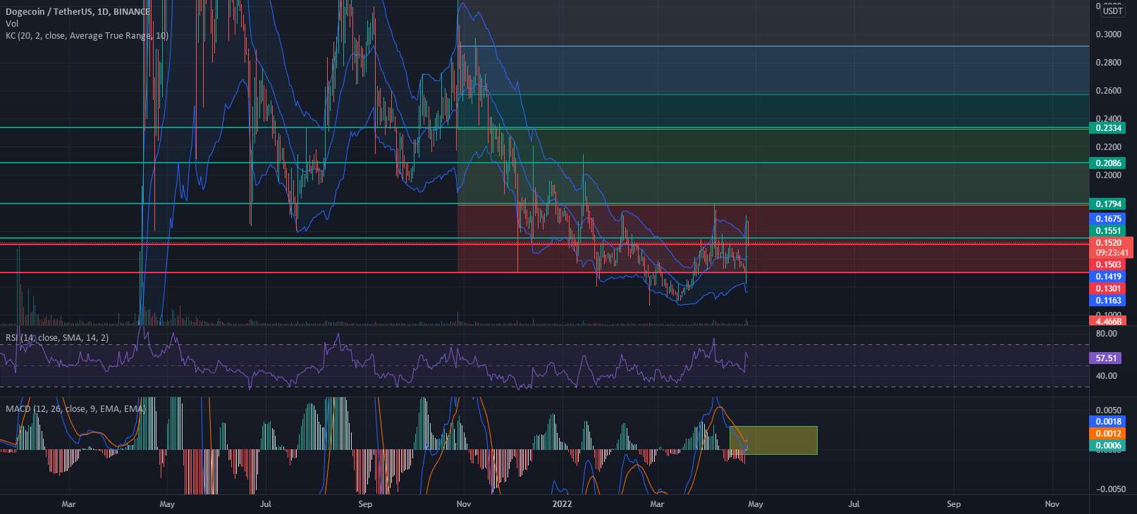 ترند سکه های جایگزین با کلاه کوچک، Doge