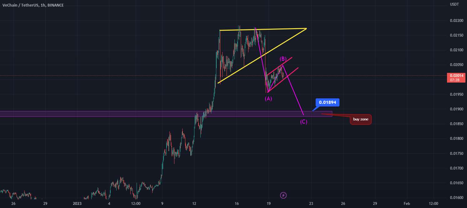  تحلیل وی چین - دامپزشک/Usdt