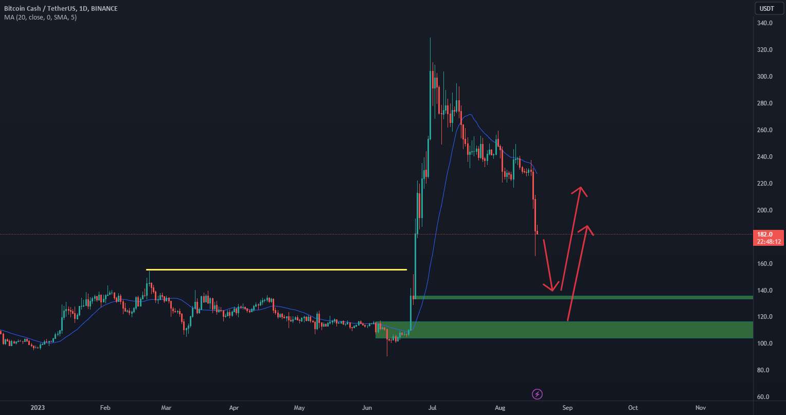 BCH - بعدی بیت کوین کش چیست؟