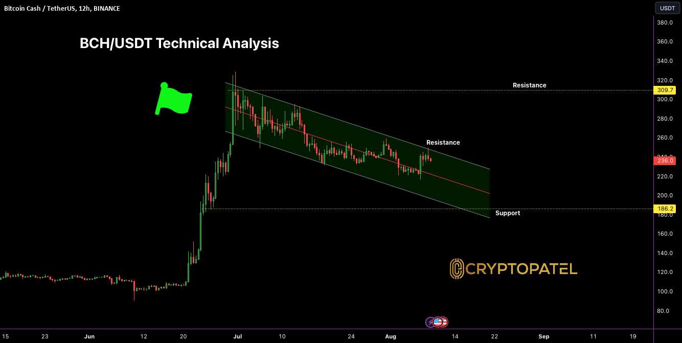 تجزیه و تحلیل فنی BCH/USDT - احتمال شکست در آینده