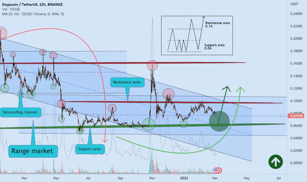 منطقه پشتیبانی DOGE 🚀