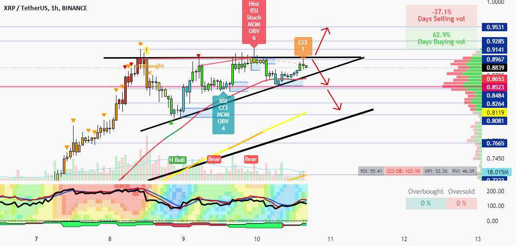 XRP 1 ساعت