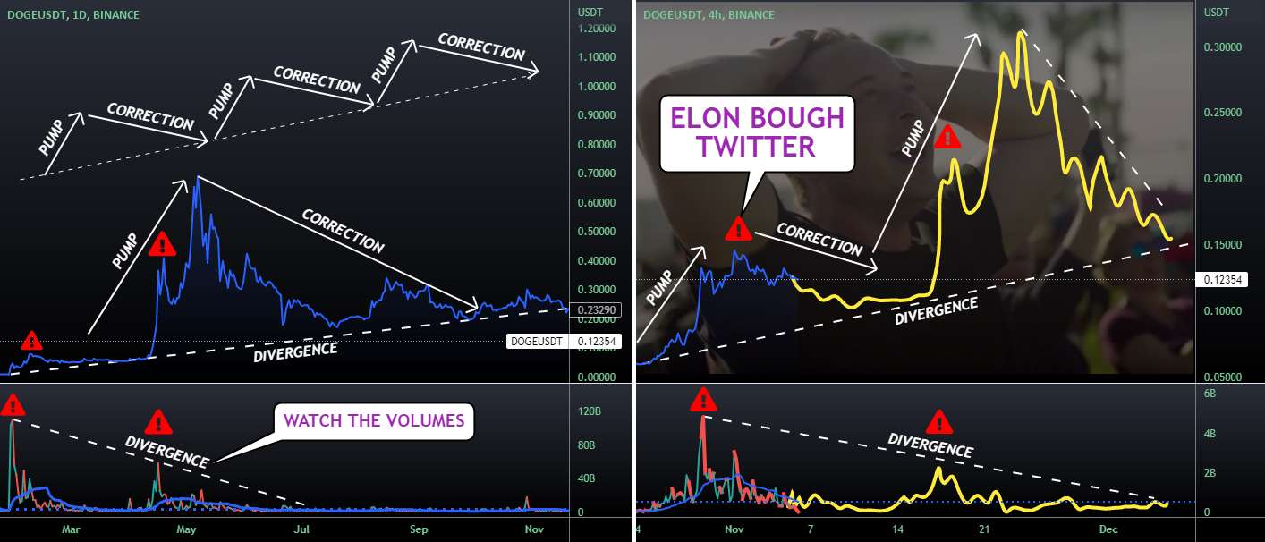  تحلیل دوج کوین - ELON's PAMP