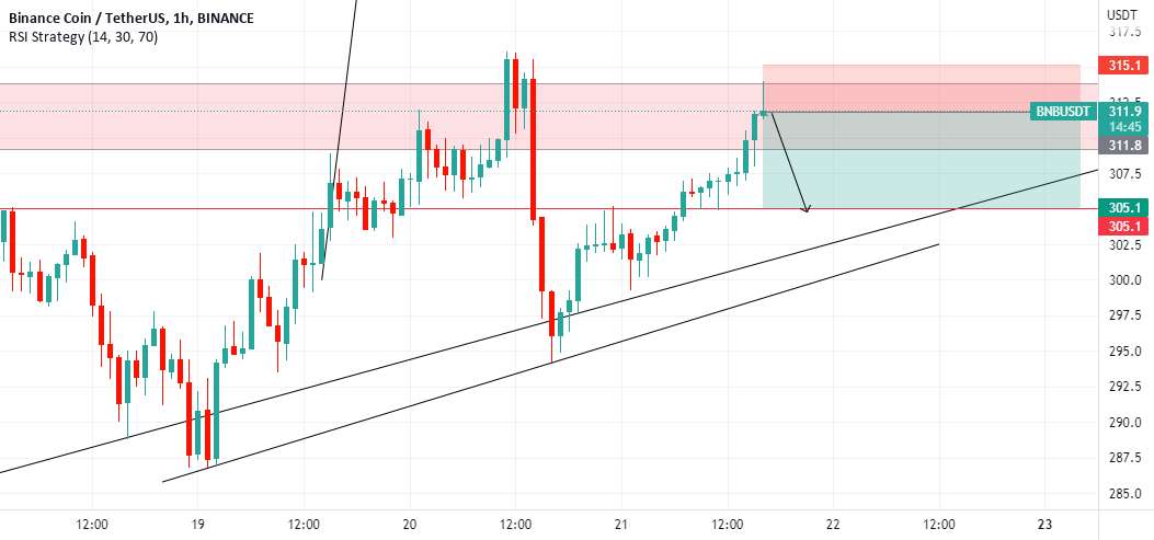  تحلیل بایننس کوین - BNBUSDT 1 ساعت