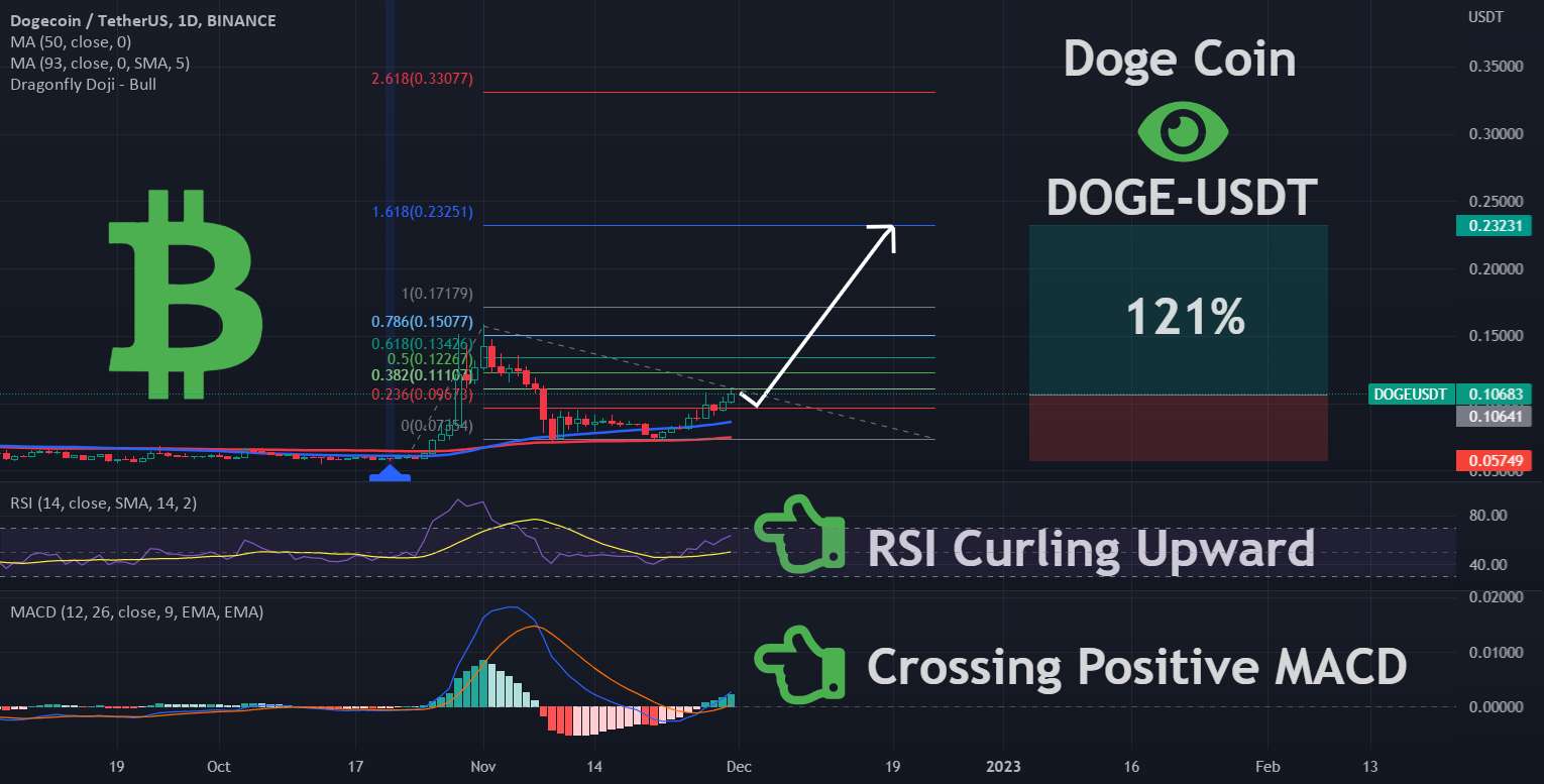 DOGE | هدیه ای از خدایان رمزارز | بلند