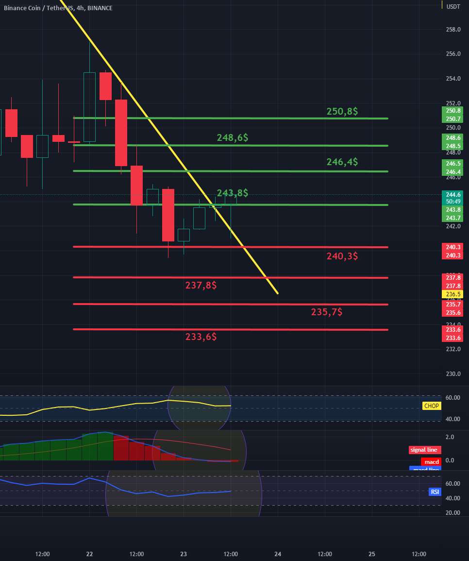 بررسی بازه 4H BNB/USDT