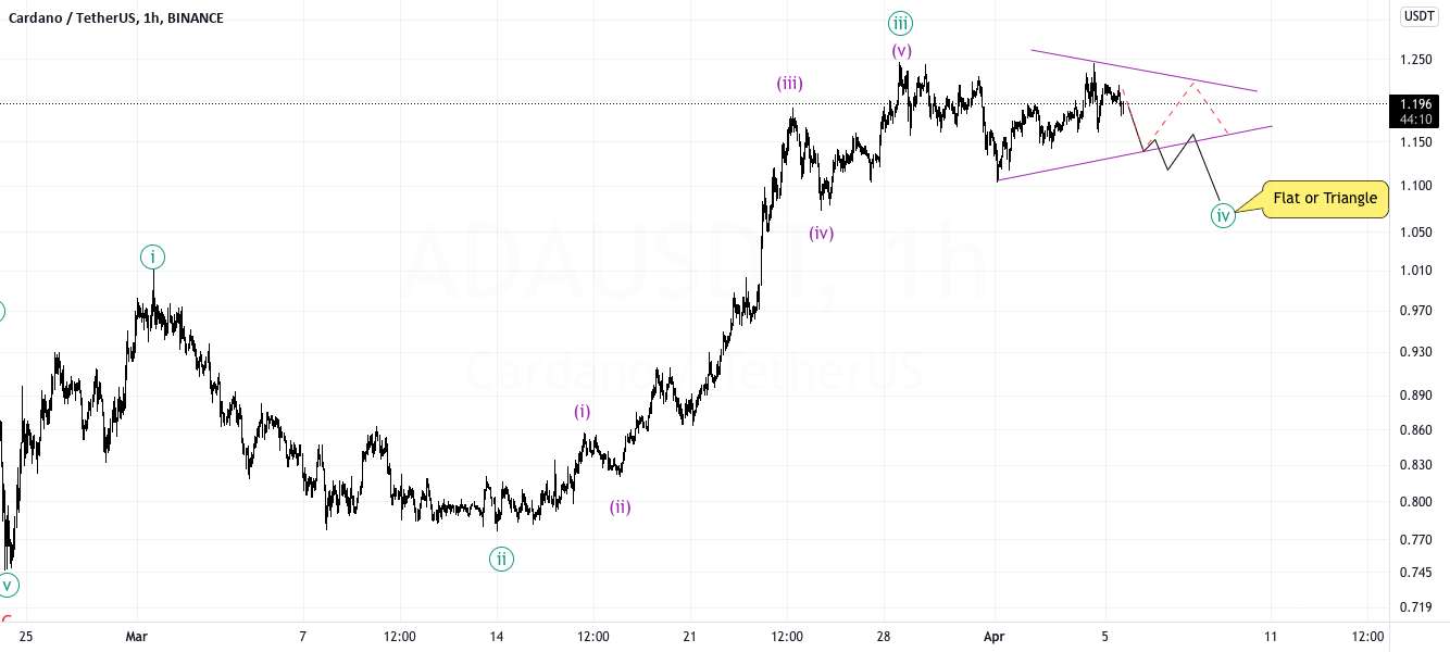 ADA (CARDANO) در یک ادغام