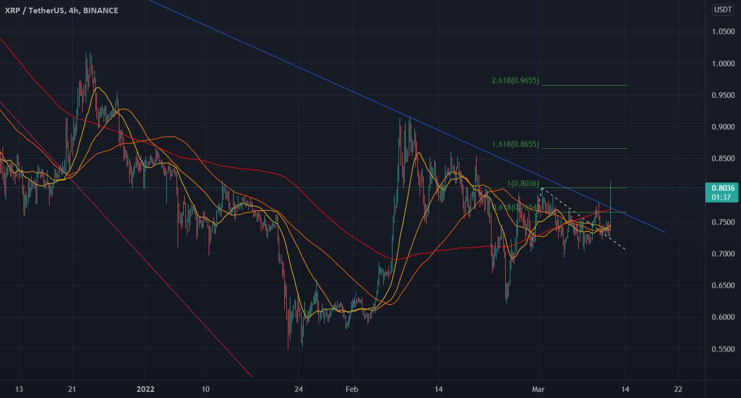 xrp تازه شروع شده