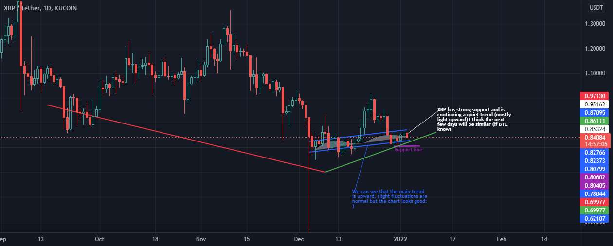 XRP روندی آرام و بازگشت تدریجی به اوج