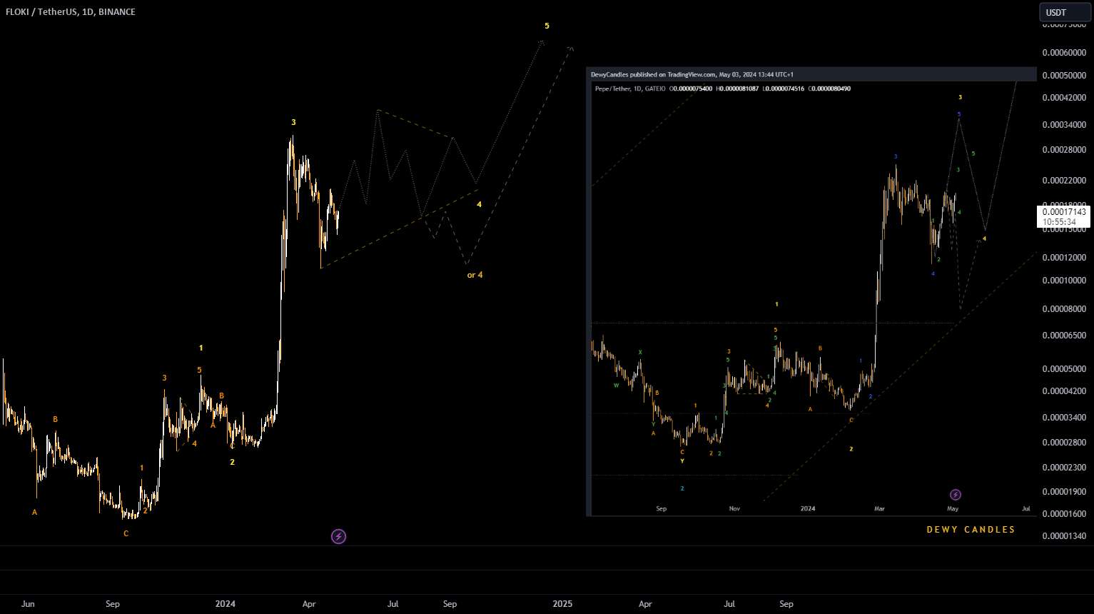 FLOKI TALLIES WIH PEPE - SHE BLUEPRINT - LITECON UPDATE - SHORT SETUP