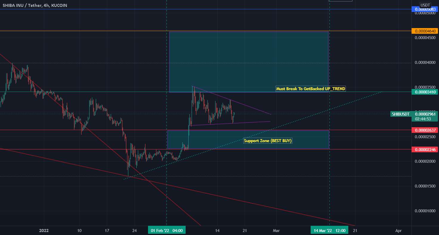 مشاهدات شیبا USDT>>>>>>>>>>>>>>>>>>>>