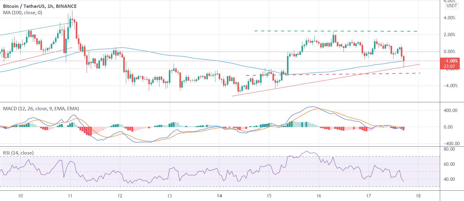 تعصب بالای بیت کوین در صورت ادامه سقوط آسیب پذیر است