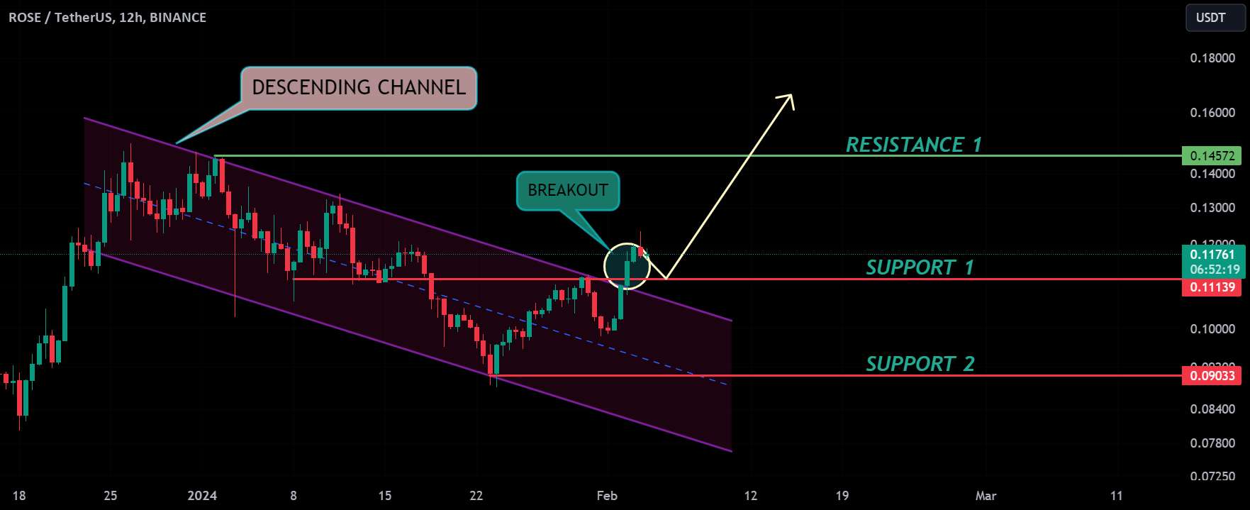  تحلیل آسیس نتورک - تجزیه و تحلیل رز