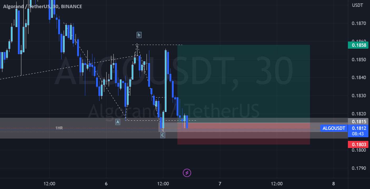  تحلیل الگوراند - Algo (طرح بلند پوست سر)