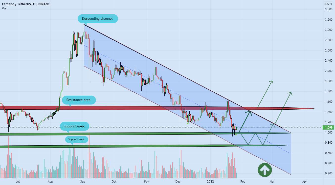 سطح پشتیبانی CARDANO 🚀