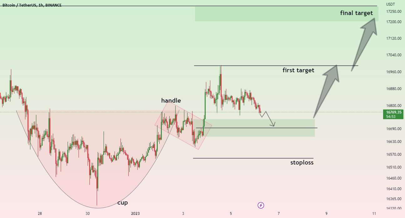 فنجان و دسته روی BTC