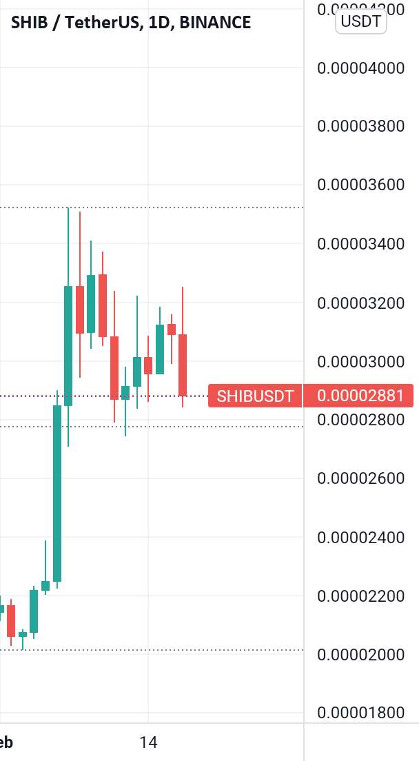 شیبا از سقوط بیت کوین رنج می برد