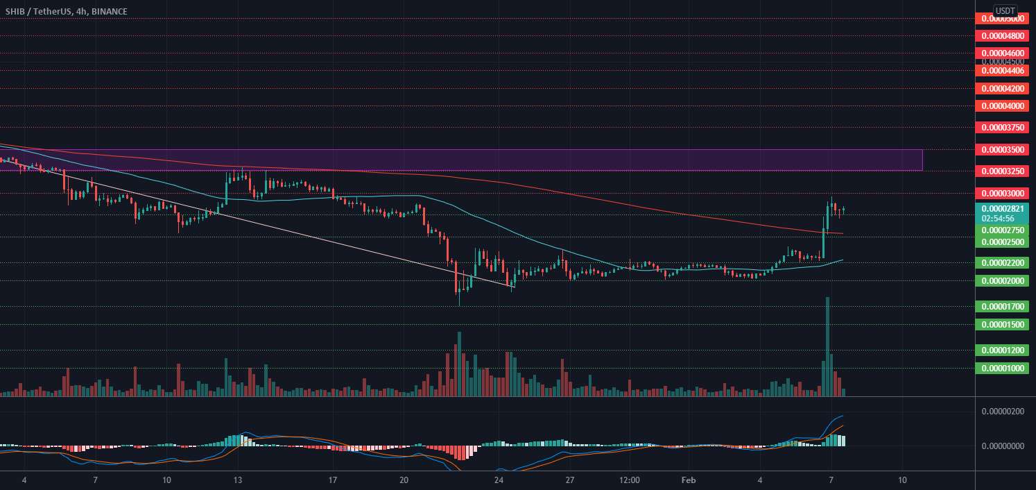  تحلیل شیبا - تحلیل قیمت شیبا اینو — 7 فوریه