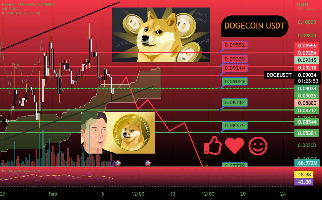 DOGECOIN در حال سقوط!!؟ تموم شد !! آه خدای من ؟؟ اینو ببین!