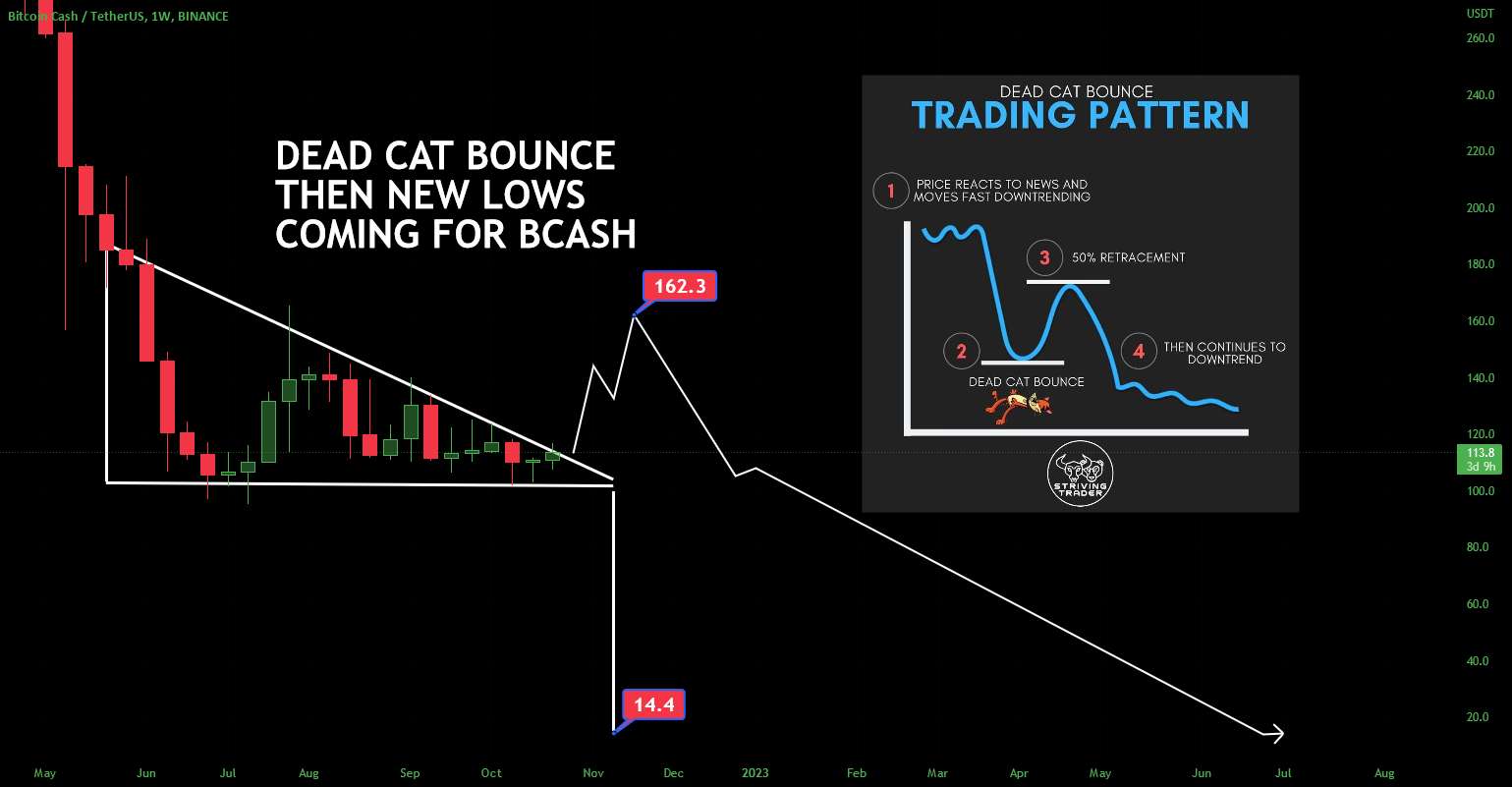  تحلیل بیتکوین کش - BCASH DEAD CAT BOUNCE INCOMING سپس جدید BLEED آهسته به 14 دلار کاهش می یابد