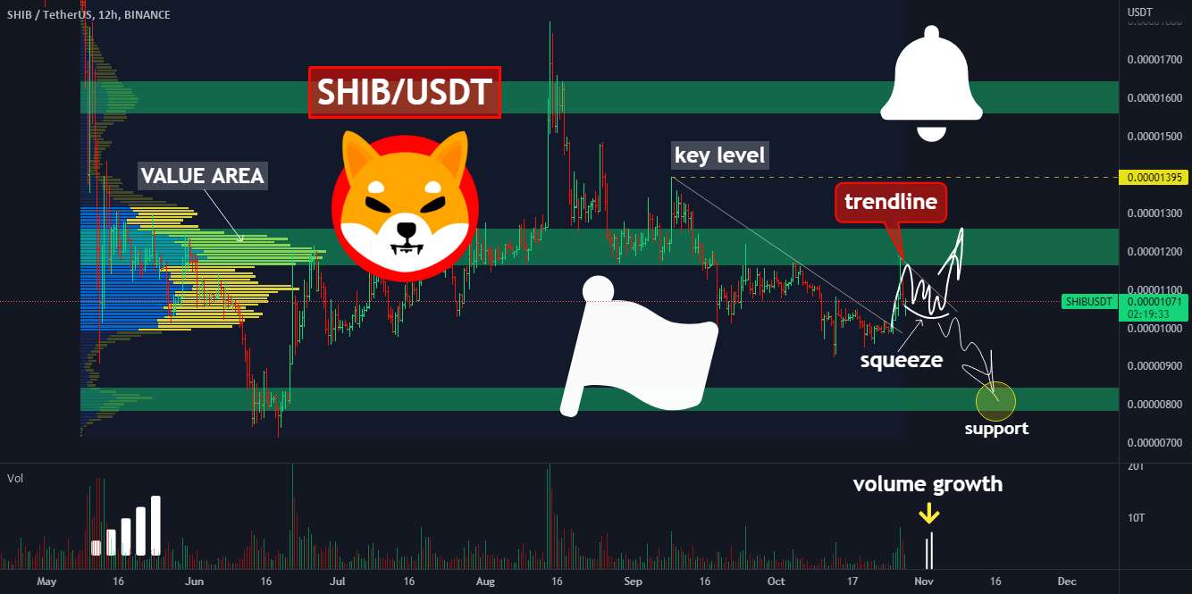  تحلیل شیبا - 🔥درآمد SHIB +18% از نقطه ورود ما! هدف بعدی چیه؟؟