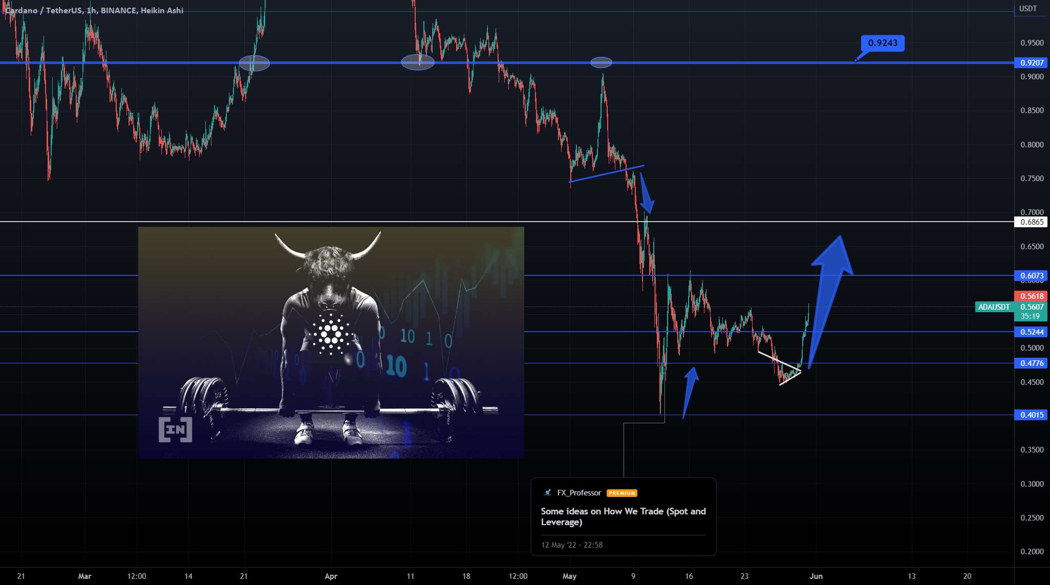 Cardano - آیا گاو نر برای همیشه بازگشته است؟