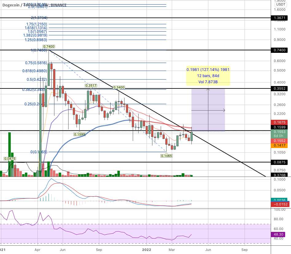  تحلیل دوج کوین - DOGE TIME به زودی؟