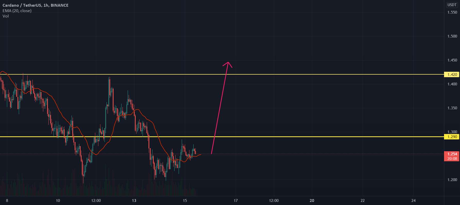 ADAUSDT 1H: ممکن است طولانی