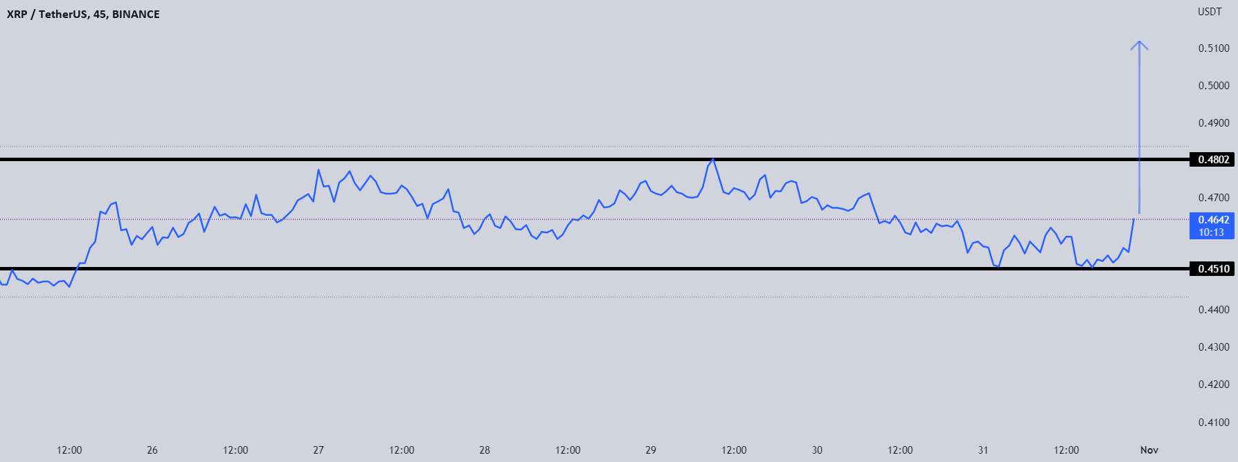 زمان XRP!