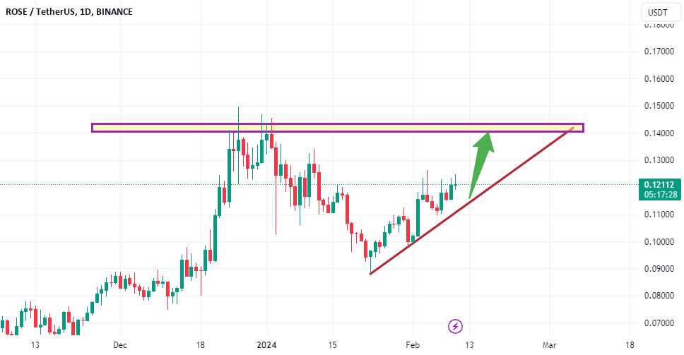  تحلیل آسیس نتورک - تحلیل چت روزانه Rose usdt