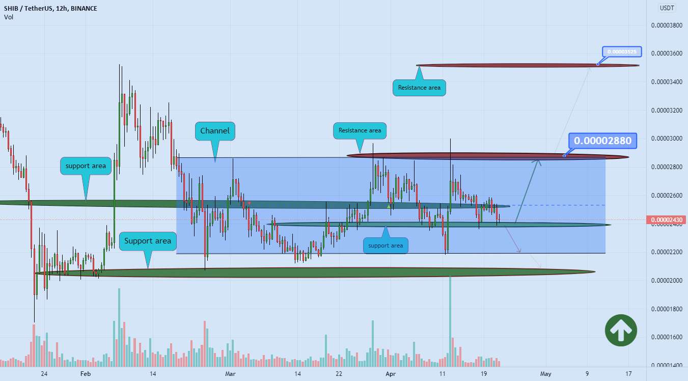 شیبا آماده به دست آوردن 🚀