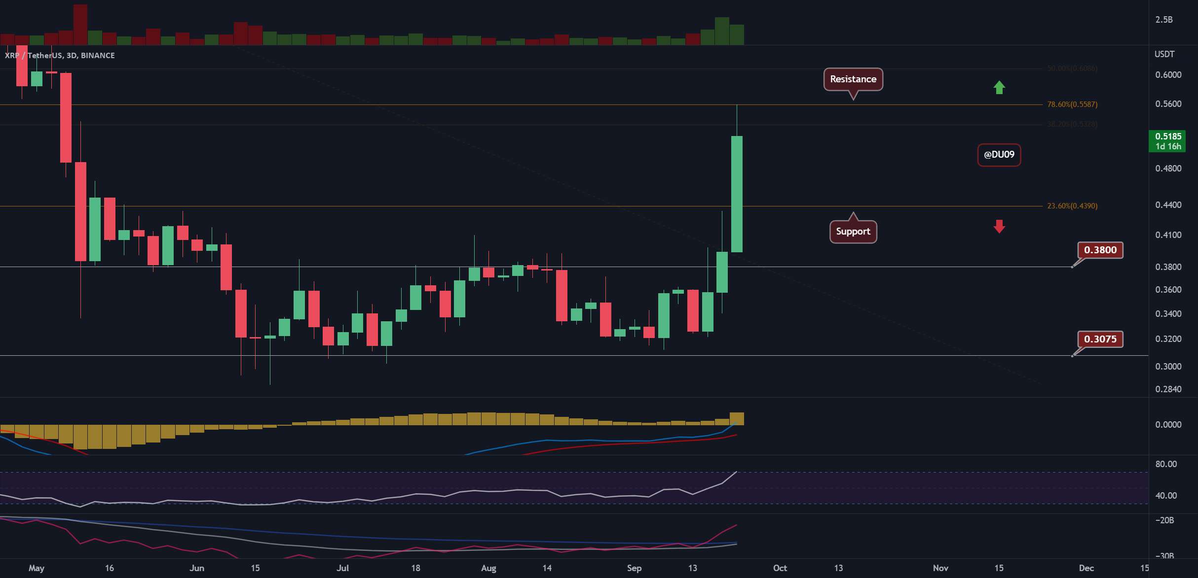 XRP/USD - نهنگ ها در حال خرید هستند! اونا چی میدونن؟؟؟ 🧐