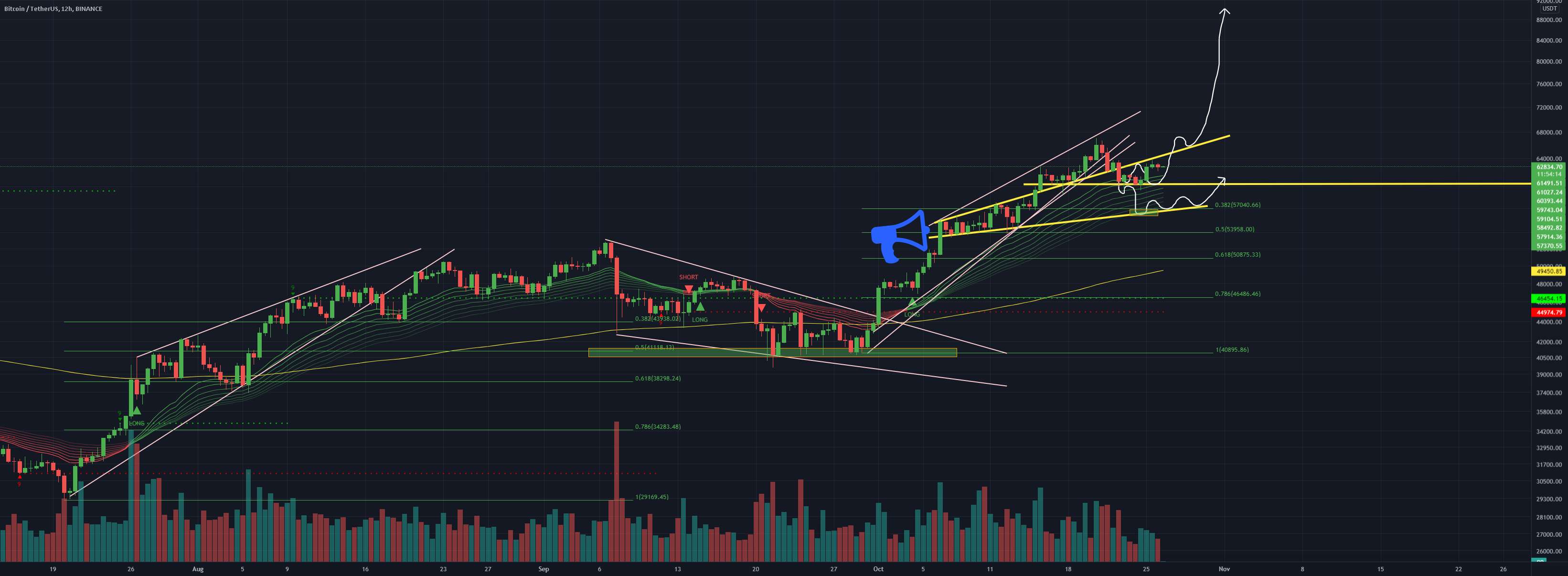 BTC 12H: نمای گزارش