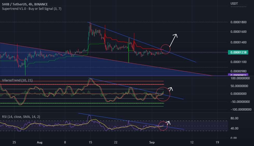  تحلیل شیبا - قیمت 1D TF SHIB/USDT ممکن است بالاتر رود