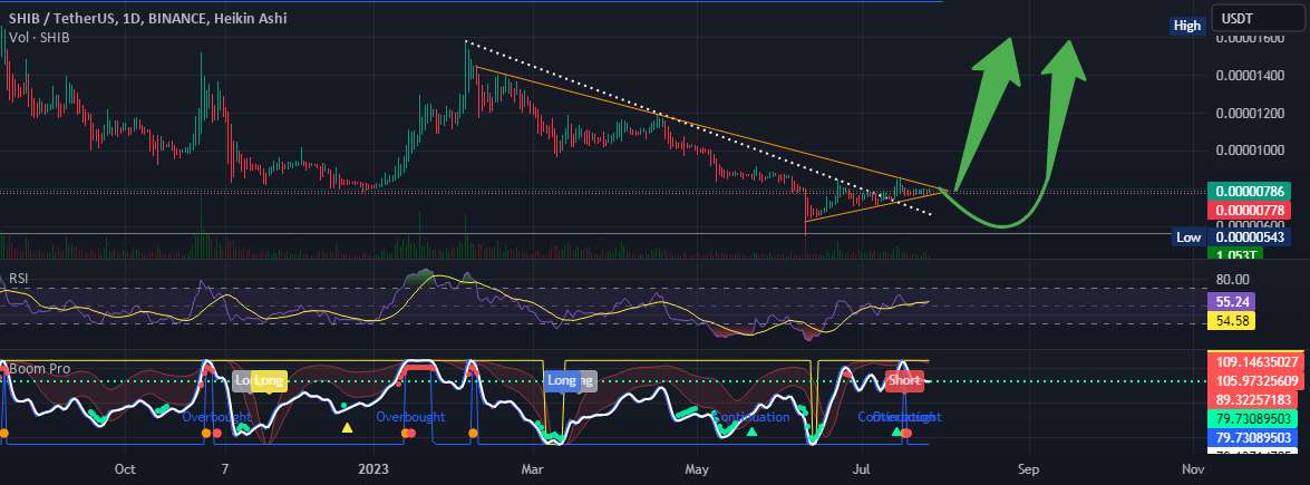  تحلیل شیبا - آنچه باید در مورد SHIB/USDT بدانیم