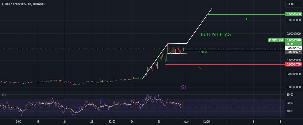  تحلیل FLOKI - FLOKIUSDT - 1H - پرچم صعودی - ورود طولانی